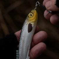 Fox Rage Slick Eel Loaded 21cm